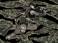 VIETNAM SF PINUP GIRL