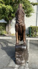 Wolf Bronze Statue