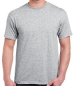 Spirit Line logo printed to front 
GD05 Gildan Heavy weight T-shirt
Sport Grey