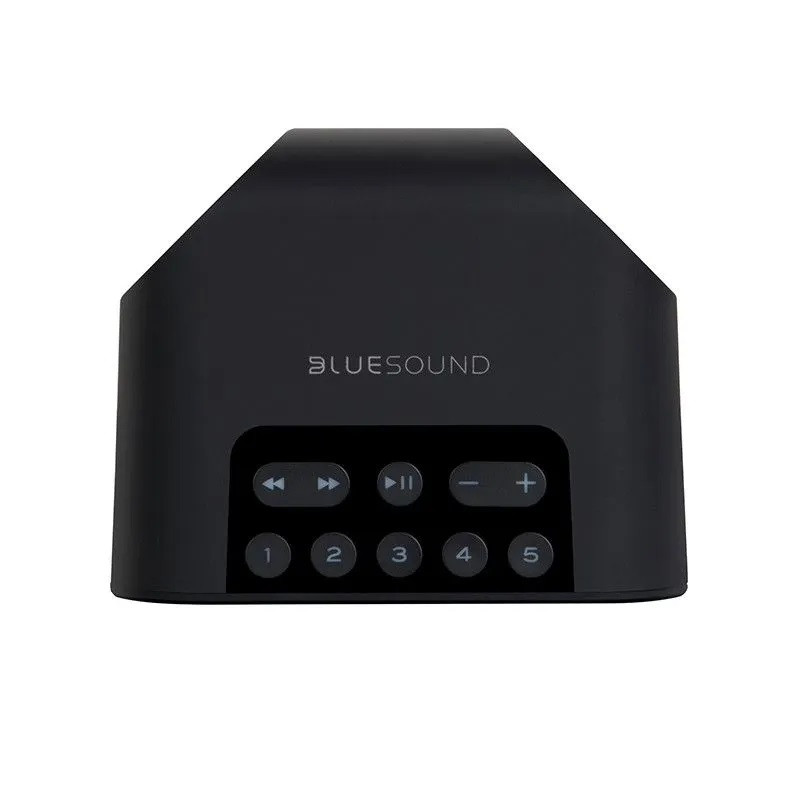Bluesound Pulse Flex 2i – Altoparlante Wireless Portatile Wi-Fi E Bluetooth – Nero