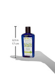 Andalou Naturals Age Defying Treatment Shampoo (1x11.5 Oz)