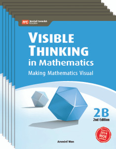 Visible Thinking in Mathematics Grade 2B (6 Pack) 