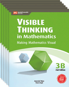 Visible Thinking in Mathematics Grade 3B (6 Pack) 