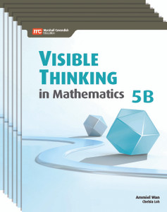Visible Thinking in Mathematics Grade 5B (6 Pack)