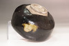 Image 13