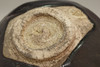 Image 14