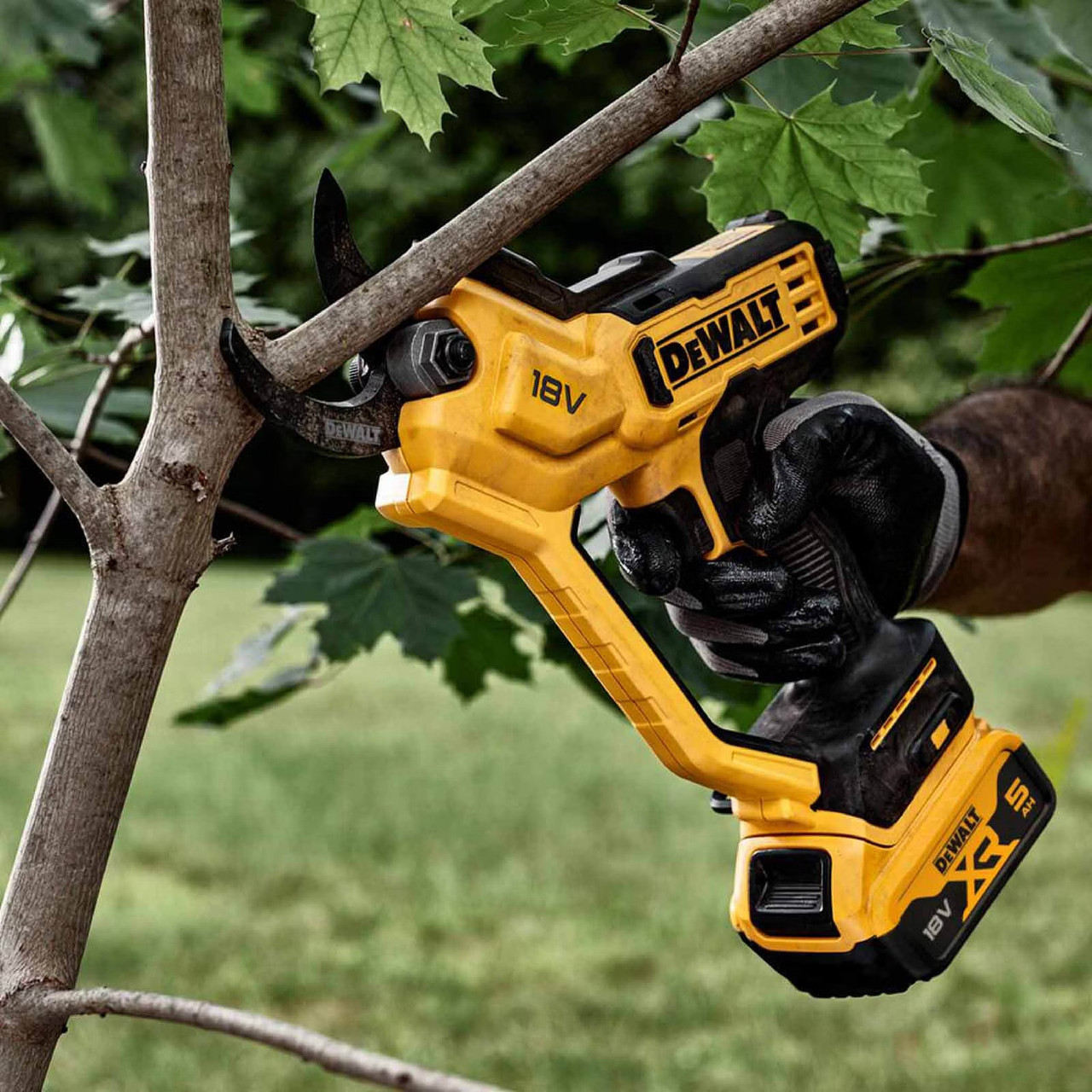 DeWalt DCMPP568P1 18V XR Cordless Pruner