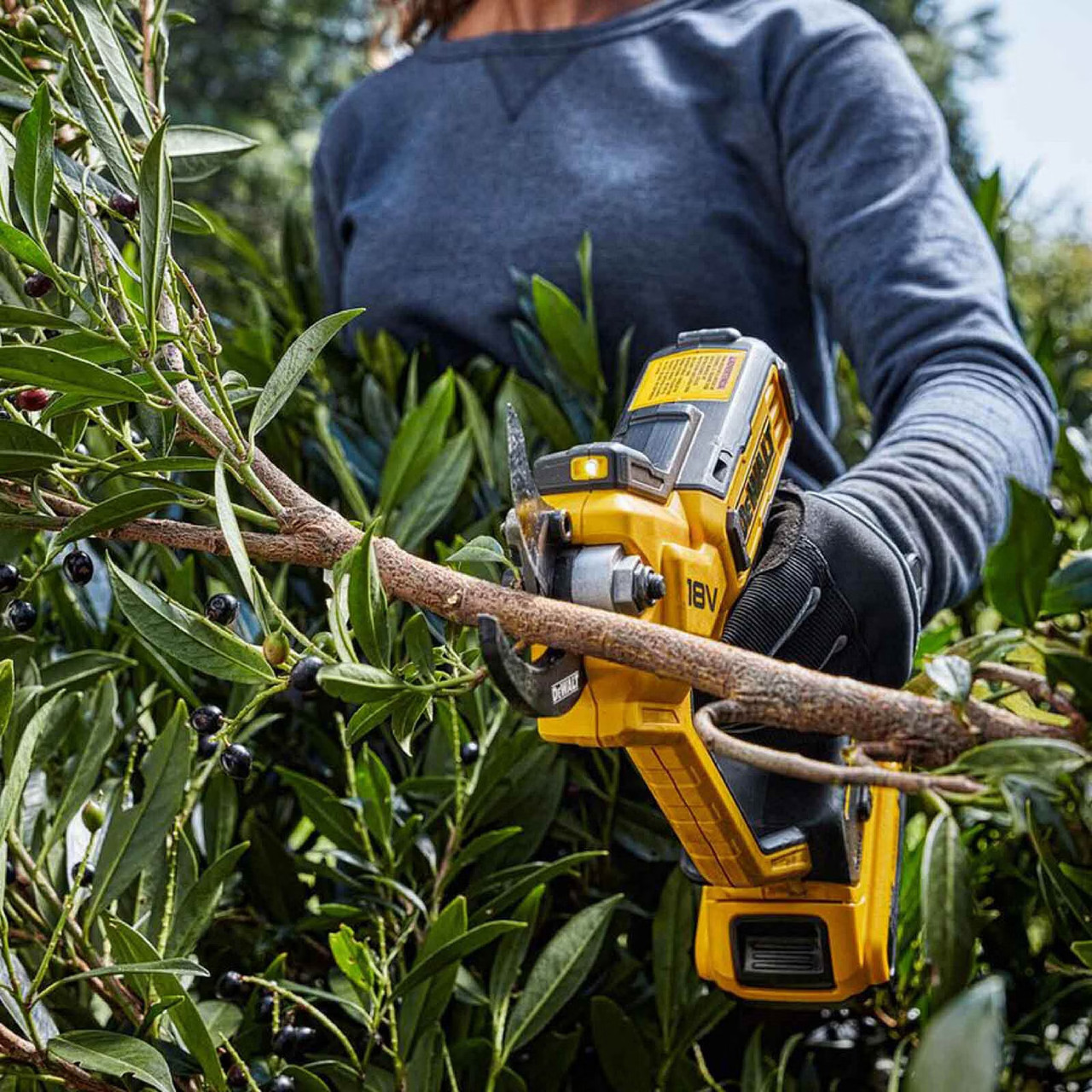 DeWalt DCMPP568P1 18V XR Cordless Pruner