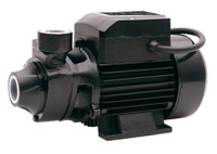 SIP 07614 450W Surface Water Pump