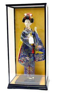 glass doll display case