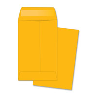 Coin Envelope, 500pk