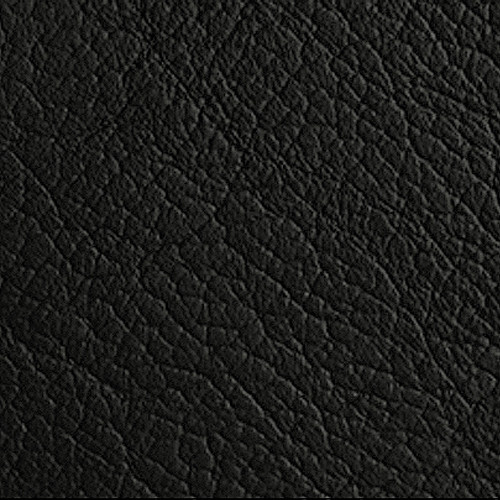 black leather swatch