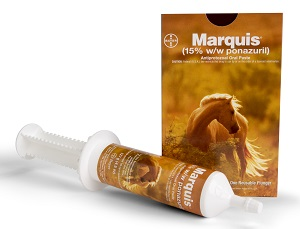 Marquis Oral Paste (127gm tube)
