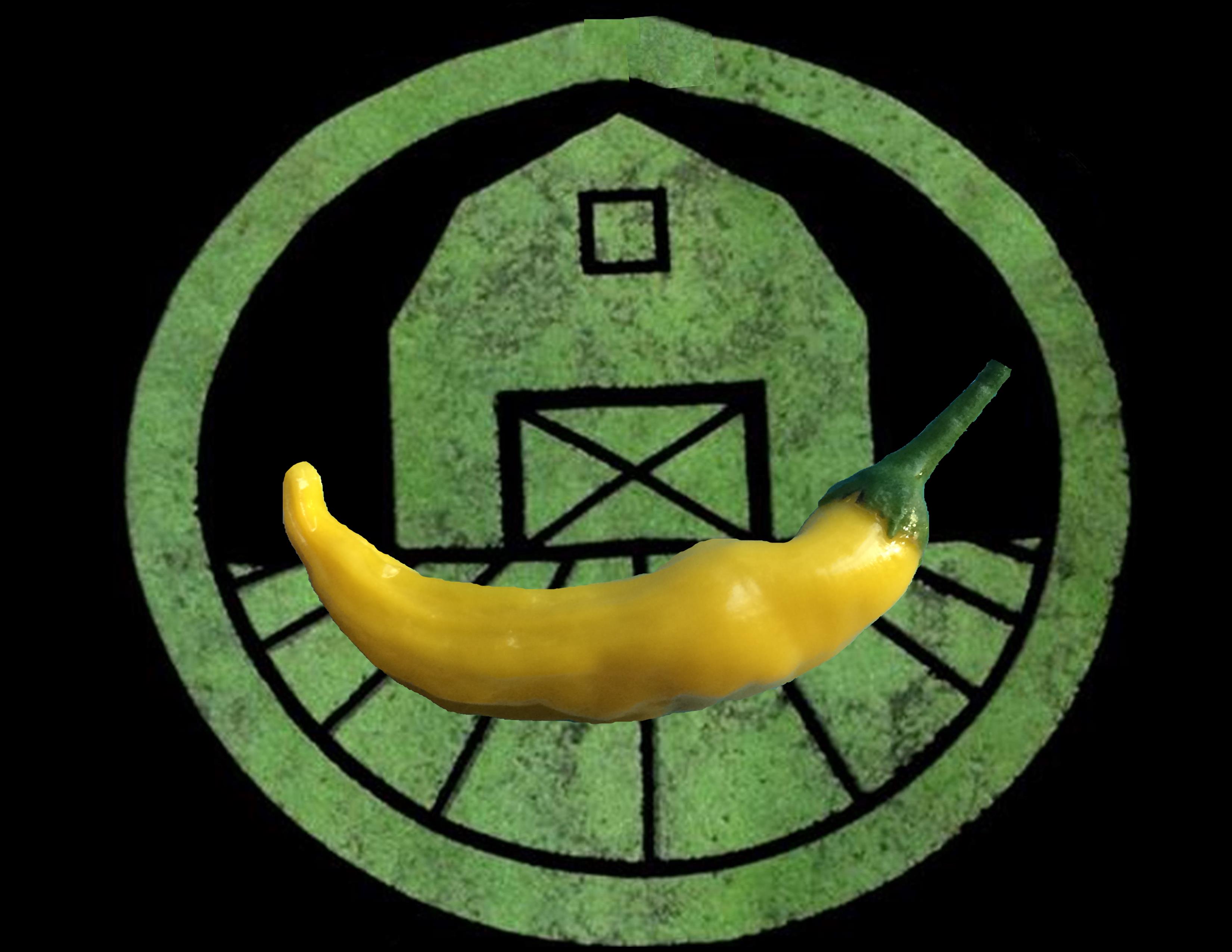 Lemon Drop Pepper | Tyler Farms Lemon Drop Pepper | Tyler Farms