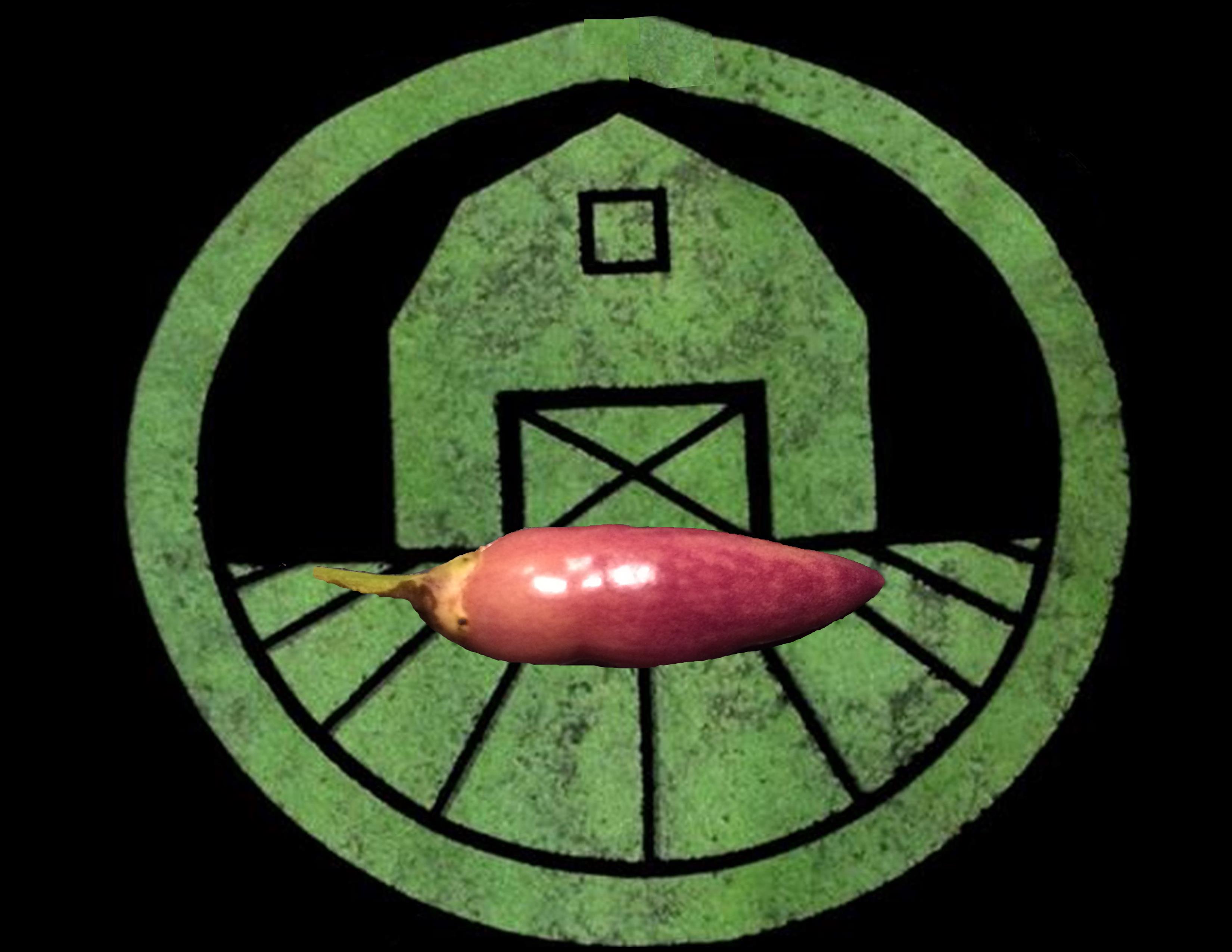 NuMex Twilight Pepper | Tyler Farms NuMex Twilight Pepper | Tyler Farms