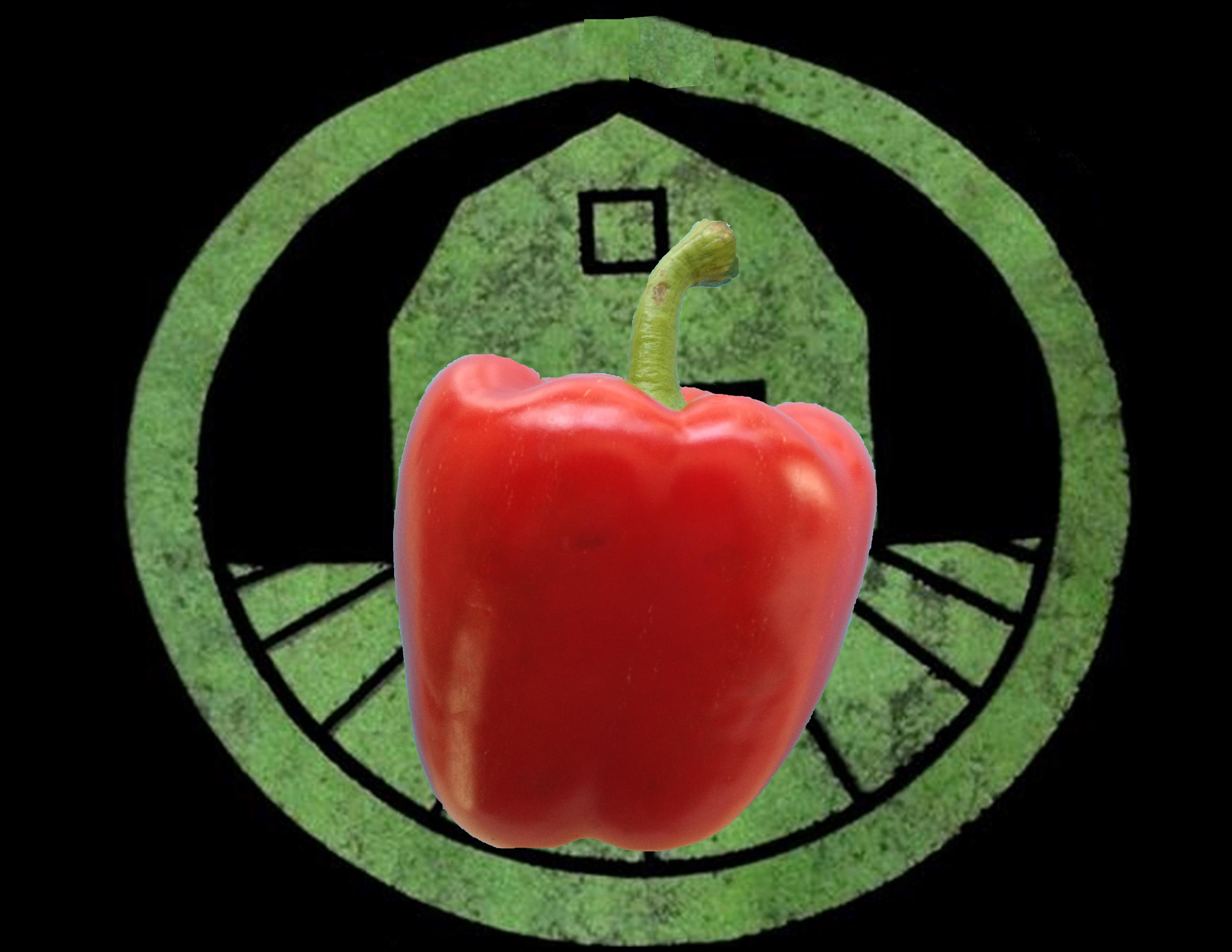 Red Bell Pepper | Tyler Farms Red Bell Pepper | Tyler Farms