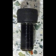 1/2"-20 bolt for B.E.D. plug body