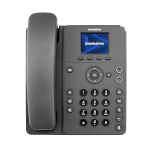 Sangoma P310