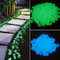 Glow Stones