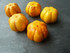 Howlite Pumpkins 16x20mm