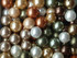South Sea Shell Pearls Loose 8mm Autumn Mix
