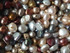 Little Freshwater Pearls 5-6mm Autumn Mix