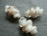 White & Gold Fleck Twist Glass Beads pk 10