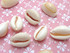Cowrie Shell Charms