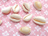Cowrie Shell Charms