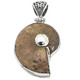925 Silver Iridescent Ammonite Fossil Ammolite Dual Sided Pendant, 1 3/4"