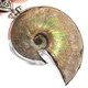 925 Silver Iridescent Ammonite Fossil Ammolite Dual Sided Pendant, 1 3/4"