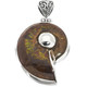 925 Silver Iridescent Ammonite Fossil Ammolite Dual Sided Pendant, 1 7/8"