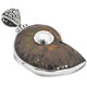 925 Silver Iridescent Ammonite Fossil Ammolite Dual Sided Pendant, 1 7/8"