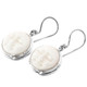 13/16" 925 Silver Bison Bone Moon Eye French Wires Earrings