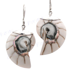 1 3/16" 925 Silver Nautilus Shell White French Earrings