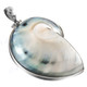 1 3/4" 925 Silver Genuine Nautilus Shell us Pendant