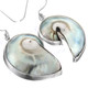 1 5/16" 925 Silver Nautilus Shell Iridescent Blue Earrings