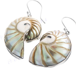 1 5/16" 925 Sterling Silver Nautilus Shell French Earrings