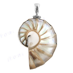 2 3/8" 925 Silver Genuine Natural Nautilus Shell Pendant