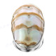 1 1/2" Adjustable 925 Sterling Silver Ridged Nautilus Shel Ring