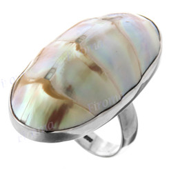 1 1/2" Adjustable 925 Sterling Silver Ridged Nautilus Shel Ring
