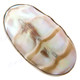 1 1/2" Adjustable 925 Sterling Silver Ridged Nautilus Shel Ring