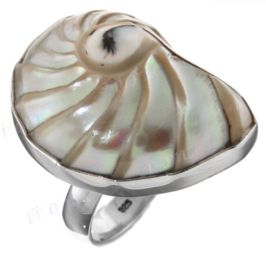  1 1/8" genuine ridged nautilus shell 925 sterling silver ring