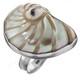  1 1/8" genuine ridged nautilus shell 925 sterling silver ring