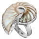  1 1/8" genuine ridged nautilus shell 925 sterling silver ring