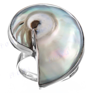 1 1/8" Genuine Nautilus Shell  Bue-Silver Tone 925 Silver Ring
