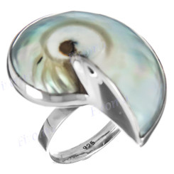 1 1/8" Genuine Nautilus Shell  Bue-Silver Tone 925 Silver Ring