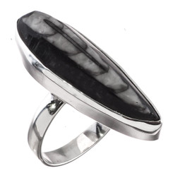 925 Silver 1 1/4 Cool Moroccan Orthoceras Fossil Sterling Adj Sz 9 Ring
