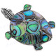 925 Silver Paua Abalone Shell Turtle us Brooche Pendant