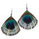 2 9/16" Peacock Feather Iridescent French Earrings